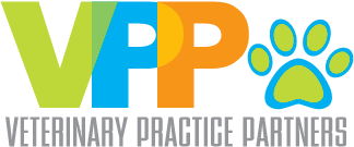 Neuberger Berman Capital Solutions Completes Direct Investment in Veterinary Practice Partners